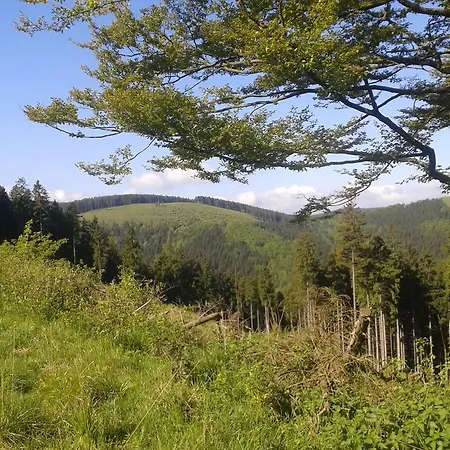 Casa de hóspedes Haus Waldfrieden, Meinecardplus Inklusive Willingen (Upland)