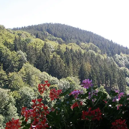 Haus Waldfrieden, Meinecardplus Inklusive Casa de hóspedes