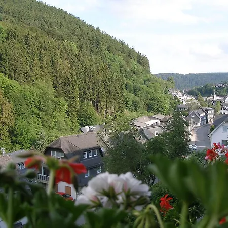 Haus Waldfrieden, Meinecardplus Inklusive Casa de hóspedes