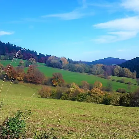 Haus Waldfrieden, Meinecardplus Inklusive 3* Willingen (Upland)