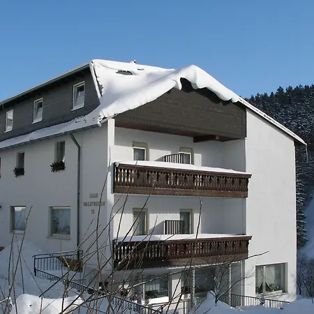 Haus Waldfrieden, Meinecardplus Inklusive Casa de hóspedes Willingen (Upland)
