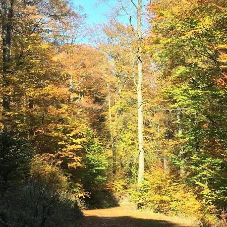 Haus Waldfrieden, Meinecardplus Inklusive Willingen (Upland)