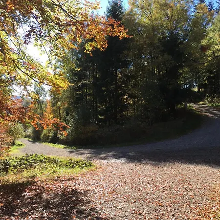 Haus Waldfrieden, Meinecardplus Inklusive 3* Willingen (Upland)