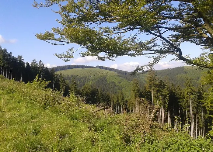 Gasthuis Haus Waldfrieden, Meinecardplus Inklusive Willingen (Upland)