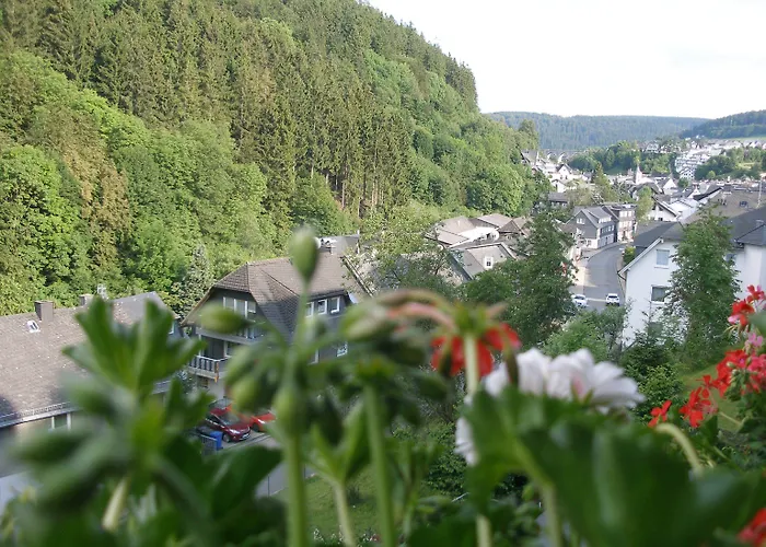 Haus Waldfrieden, Meinecardplus Inklusive 빌링겐