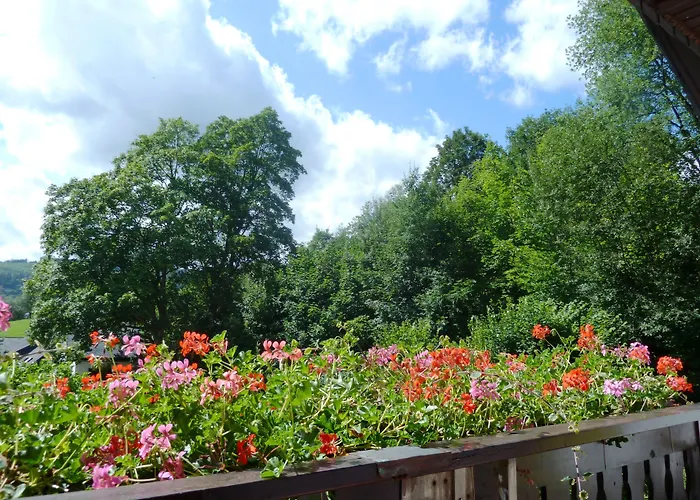 Gasthuis Haus Waldfrieden, Meinecardplus Inklusive 3*