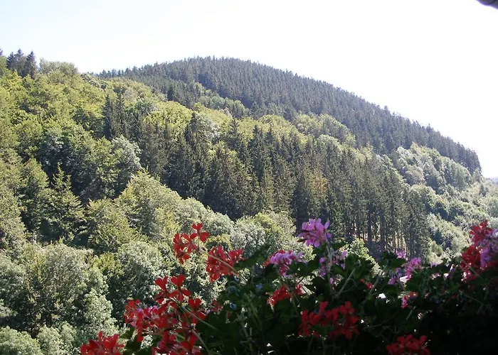 Haus Waldfrieden, Meinecardplus Inklusive 게스트하우스