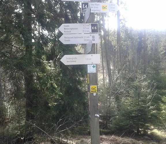 Haus Waldfrieden, Meinecardplus Inklusive 3* 빌링겐