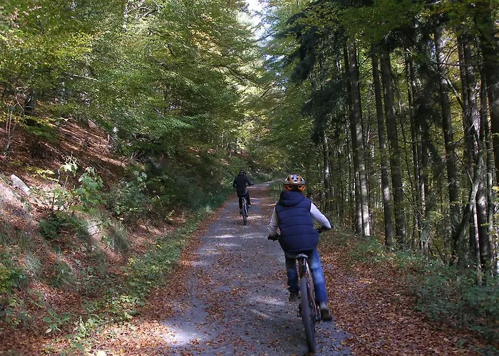 게스트하우스 Haus Waldfrieden, Meinecardplus Inklusive