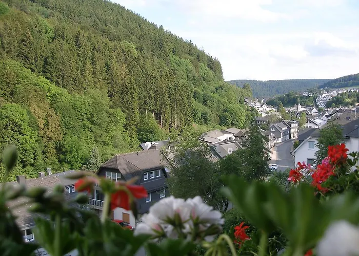 Haus Waldfrieden, Meinecardplus Inklusive 게스트하우스