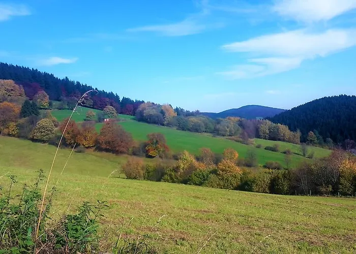 Haus Waldfrieden, Meinecardplus Inklusive 3* Willingen (Upland)