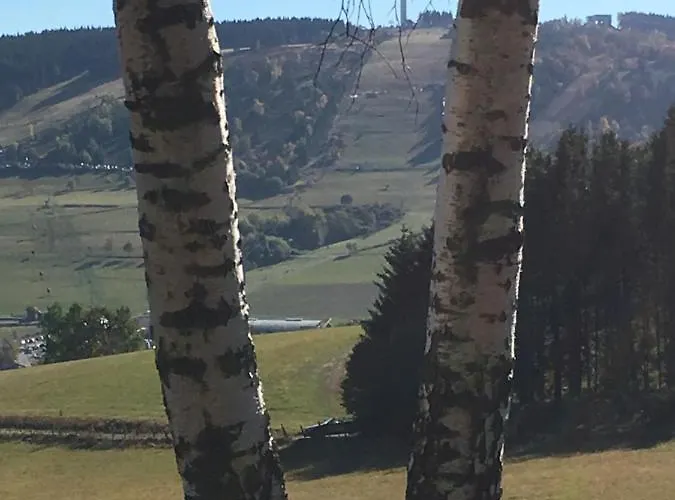 Haus Waldfrieden, Meinecardplus Inklusive Gasthuis Willingen (Upland)