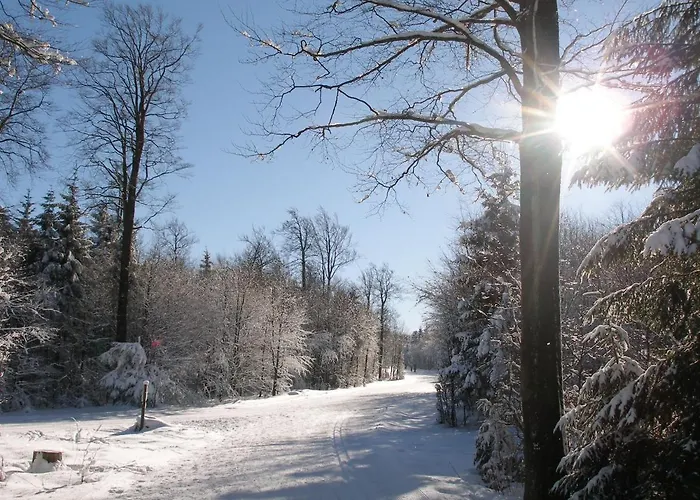 Haus Waldfrieden, Meinecardplus Inklusive 3*