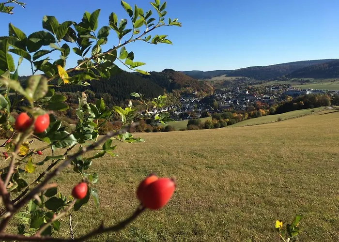 Haus Waldfrieden, Meinecardplus Inklusive 게스트하우스
