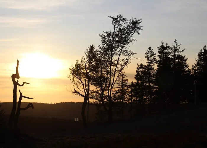 Haus Waldfrieden, Meinecardplus Inklusive 게스트하우스 3*