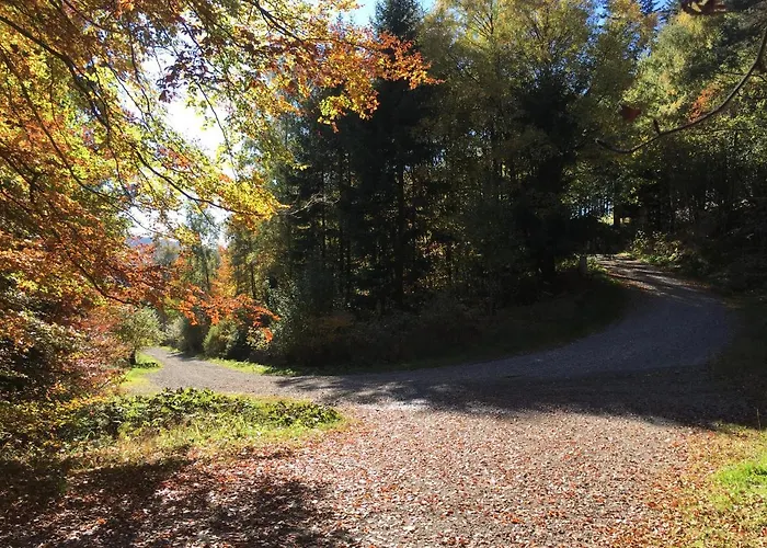 Haus Waldfrieden, Meinecardplus Inklusive 3* Willingen (Upland)